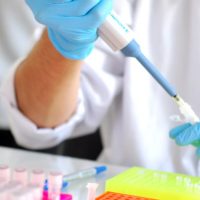 Dos manos realizando un experimento