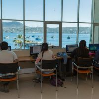 Estudiantes sentados estudiando en la biblioteca