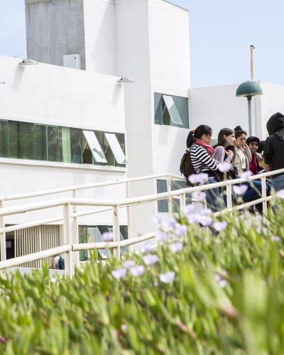 Estudiantes conversando en el campus