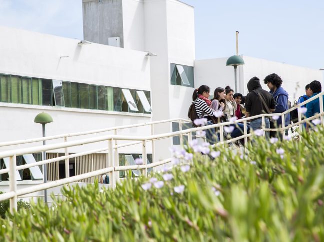 Estudiantes conversando en el campus