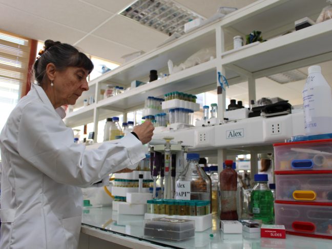 Científica realizando experimentos