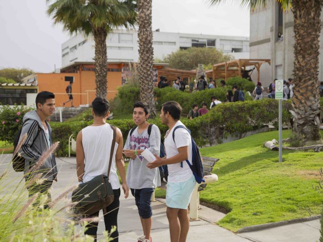 Estudiantes conversando en el campus